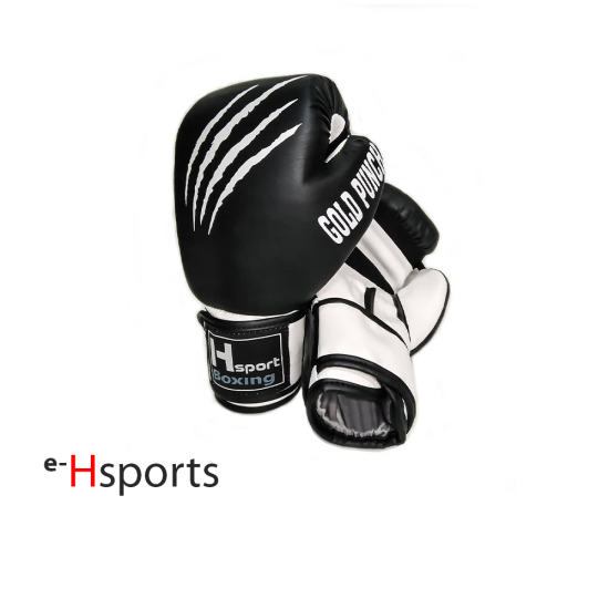 e-H Sports Box Eldiveni