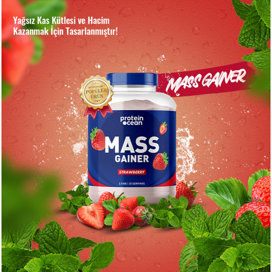 Proteinocean Mass Gainer 2.5kg